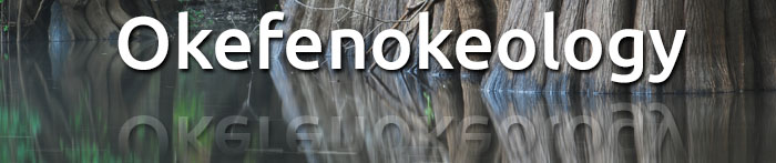 Okefenokeology 700-147